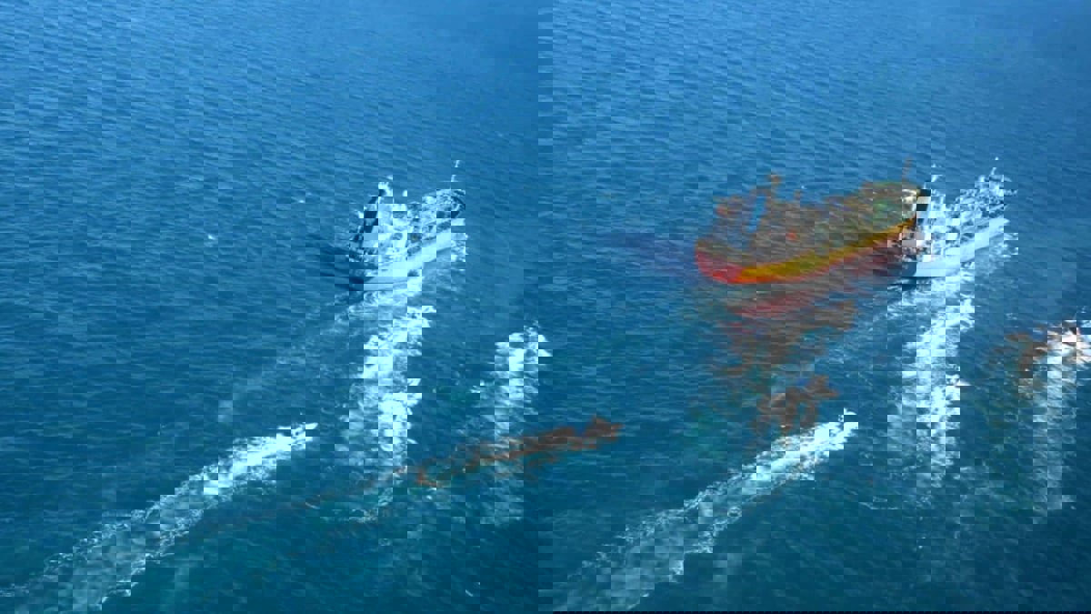 إيران تنشر فيديو لعملية احتجاز الحرس الثوري للناقلة الكورية (فيديو)