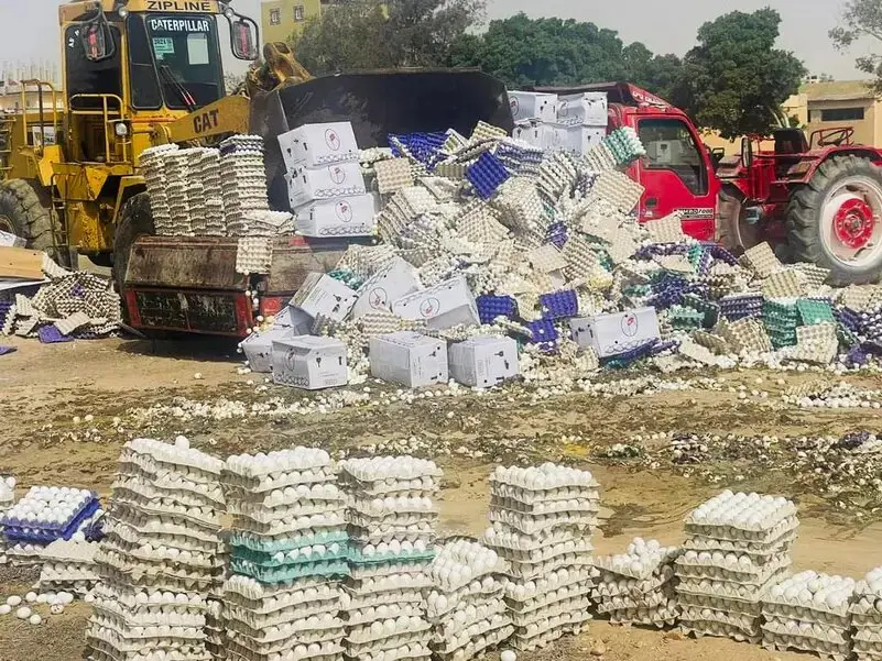 "بيض فاسد وخضار متعفنة".. مواد غذائية بطريقها لغزة تتلف تحت أشعة الشمس