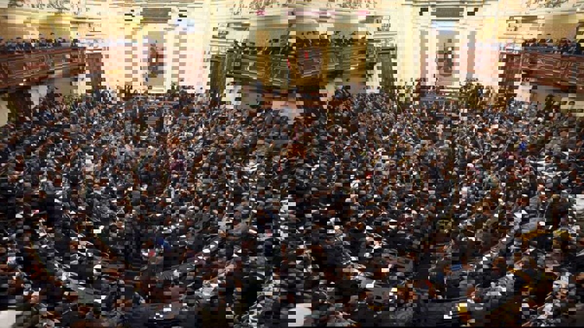 مقابل 10 آلاف دولار.. البرلمان المصري يوافق على قانون منح الجنسية للأجانب