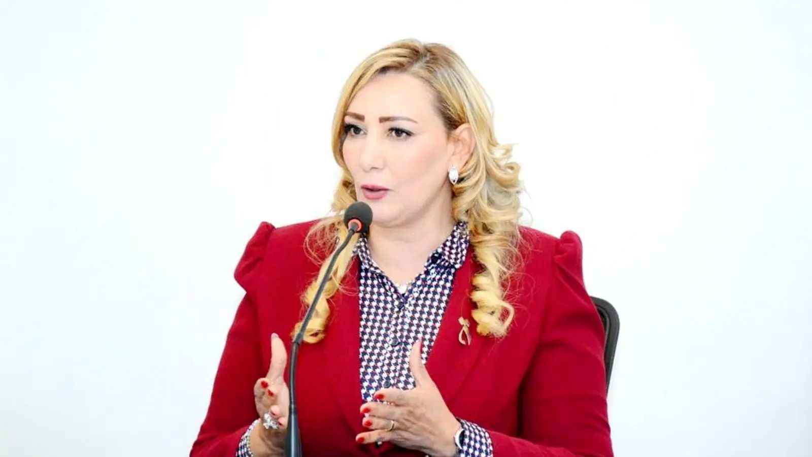 ناشطة سياسية: "الإخوان" خطر متغلغل وباريس تخطط لحظرهم في كل أوروبا