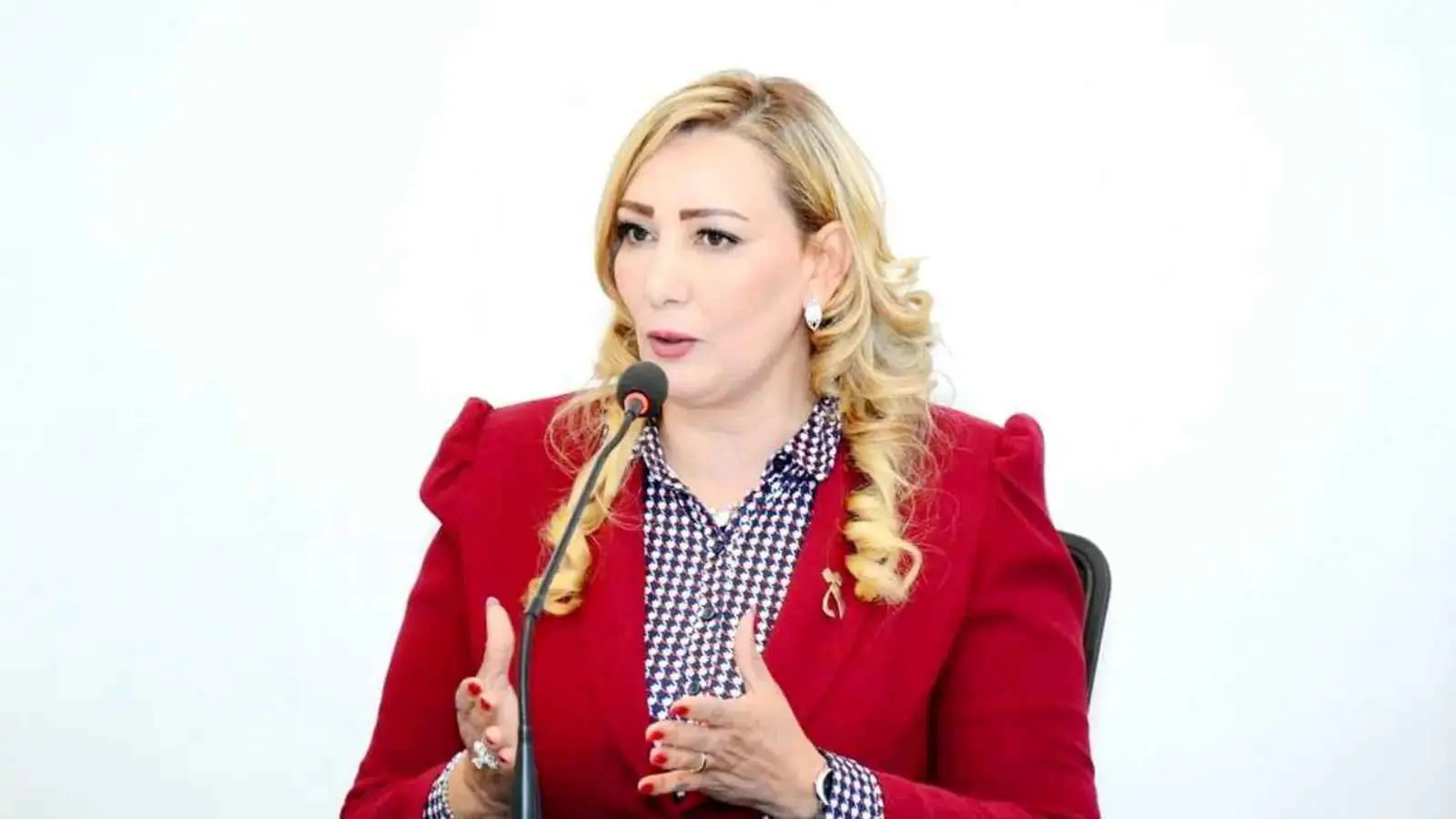 ناشطة سياسية: "الإخوان" خطر متغلغل وباريس تخطط لحظرهم في كل أوروبا