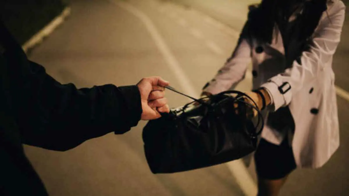 لبنانيتان تقاومان معتدياً حاول سلبهما بشجاعة نادرة (فيديو)