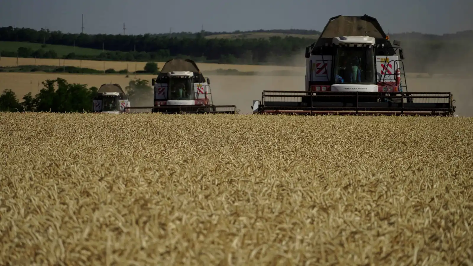 عبر طريق آمن.. روسيا تستأنف تصدير الحبوب إلى إيران