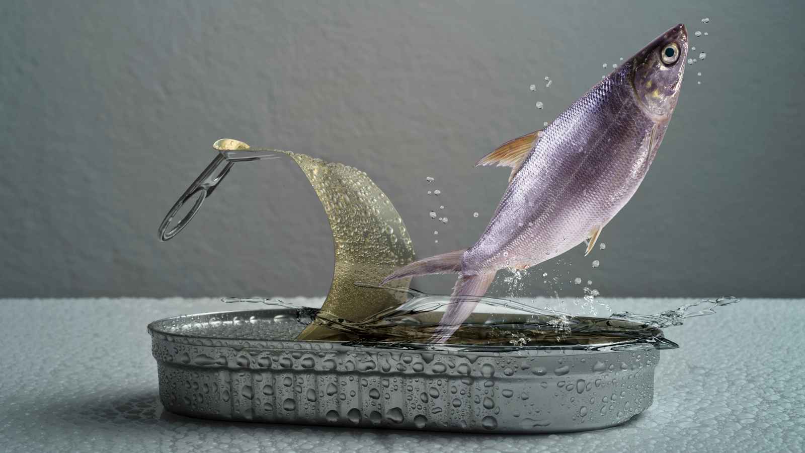 للتعامل مع "الكلفة والوقت".. نهج غذائي يجمع بين الطازج و"المعلّب"