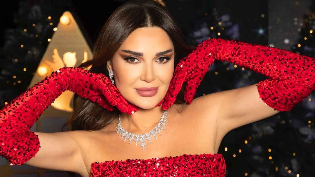 سيرين عبد النور توقف حارس الأمن من أجل معجب (فيديو)