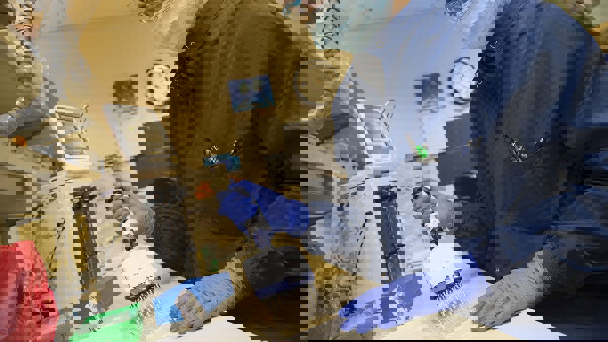 دراسة جديدة: نصف مصابي كورونا لا تظهر عليهم أعراض وينقلون العدوى بسهولة