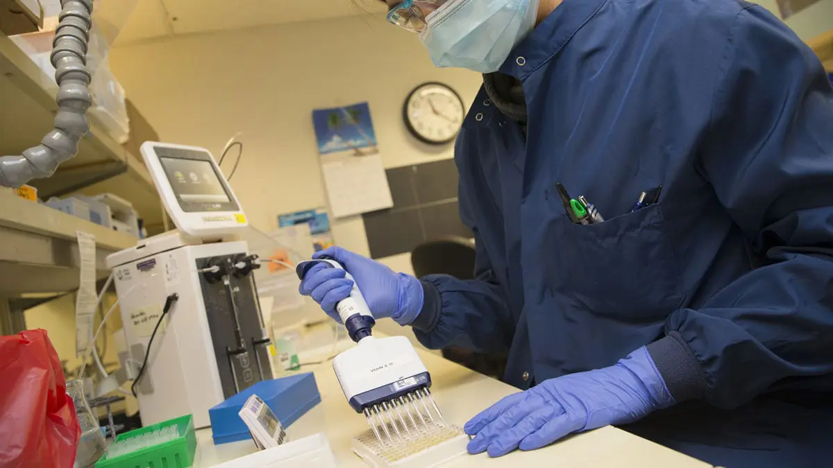 دراسة جديدة: نصف مصابي كورونا لا تظهر عليهم أعراض وينقلون العدوى بسهولة