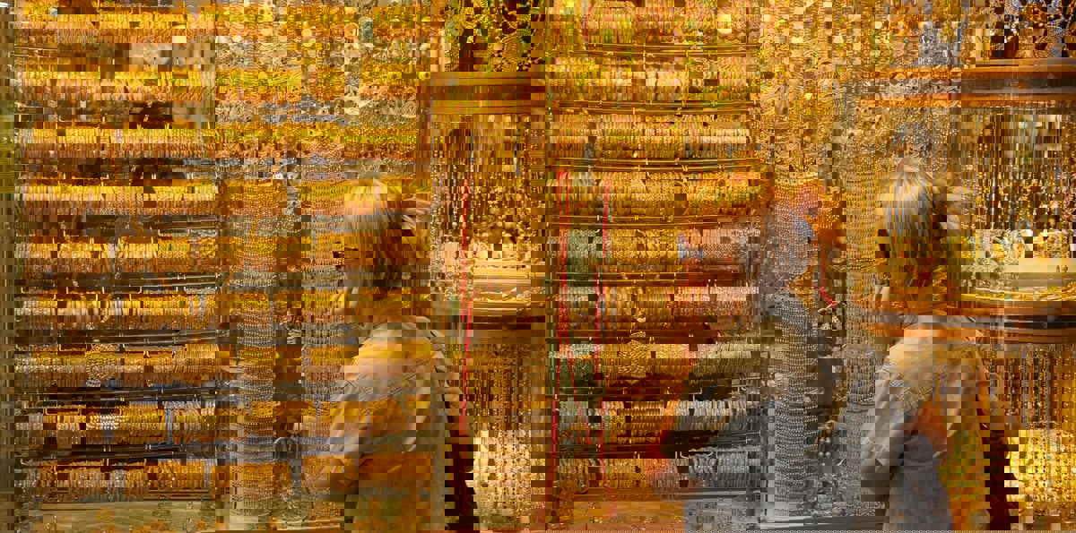 الذهب يستقر قرب أعلى مستوى في شهر بدعم من مخاوف جيوسياسية‎