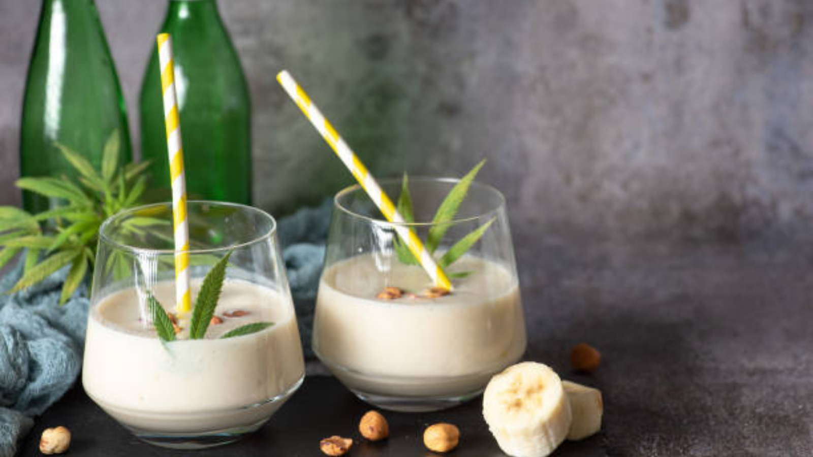 فوائد حليب القنب.. خيار جديد لعشاق التغذية الصحية