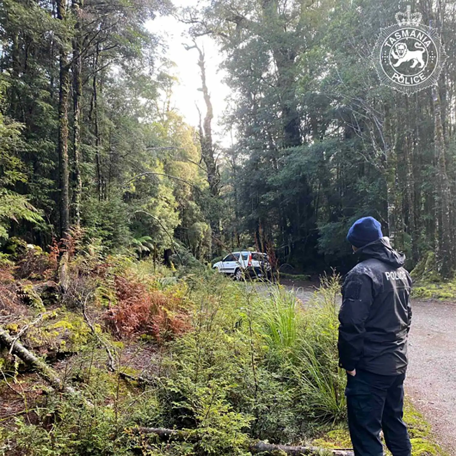 براري ولاية تسمانيا الأسترالية