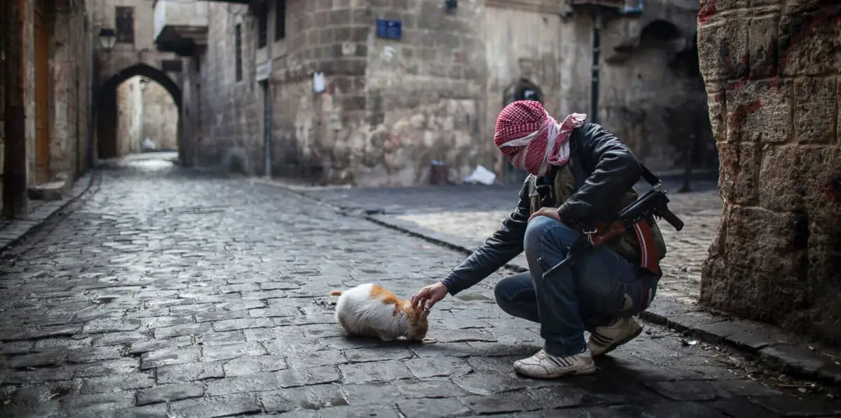 الأردن يؤكد "أهمية" الهدنة في الجنوب السوري