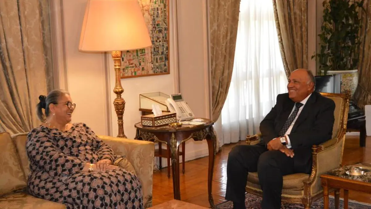 مصر: لا بد من اتفاق شامل حول سد النهضة "في أقرب وقت ممكن"