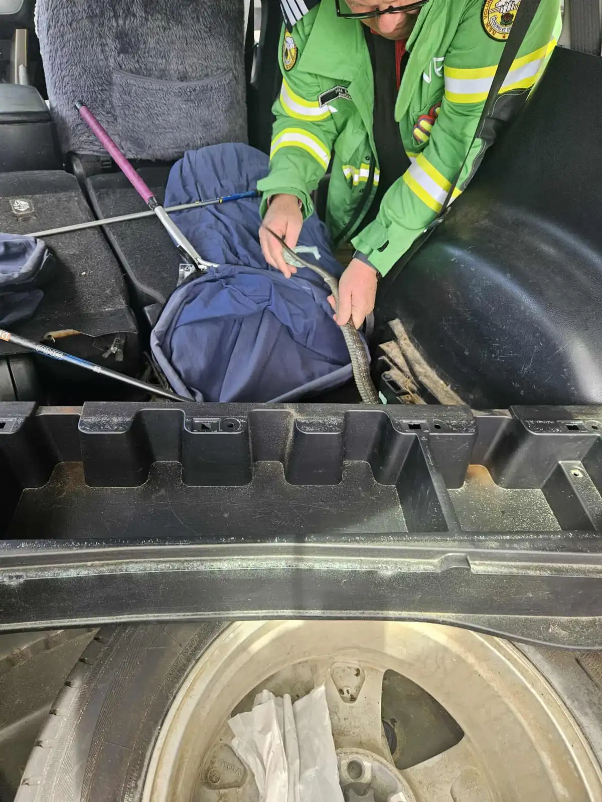 من علمية سحب الثعبان من السيارة