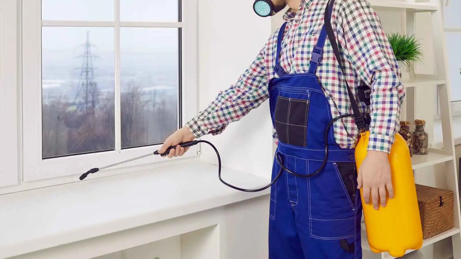 تركيا.. استخدام "سلاح كيميائي" لمكافحة حشرات منزل يتسبب بكارثة