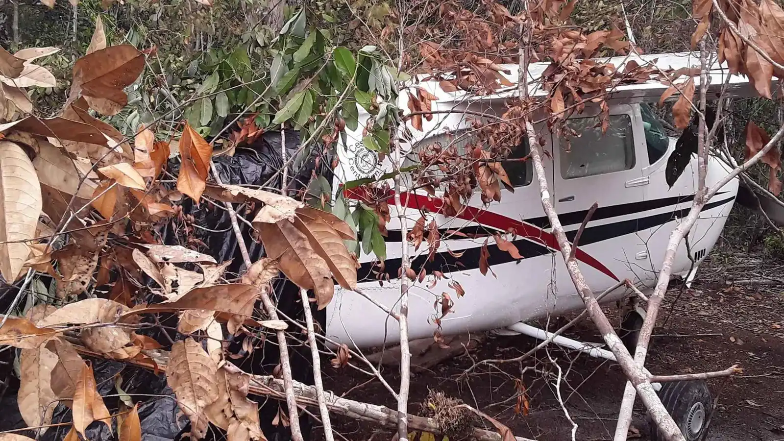 "جسر مخدرات" من فنزويلا إلى دولة بليز.. اختبار لسيطرة أمريكا على أمريكا الوسطى