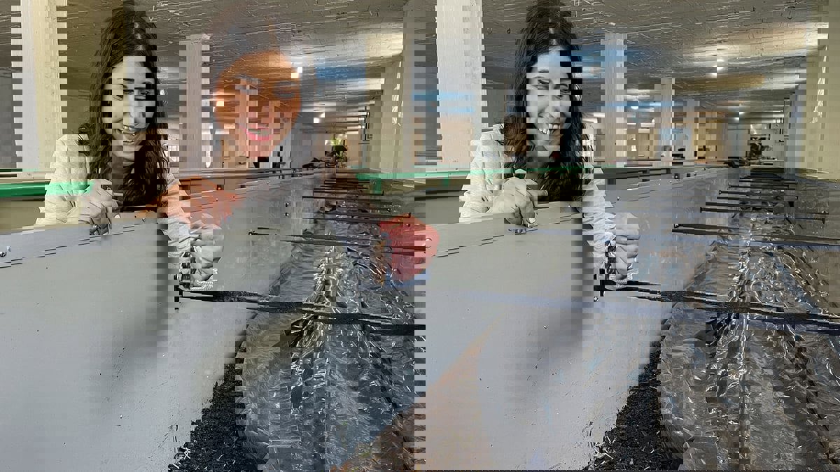 مهندسة لبنانية تربي الدود لإنتاج السماد