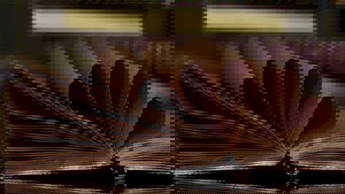 أبرز 10 روائيين سعوديين