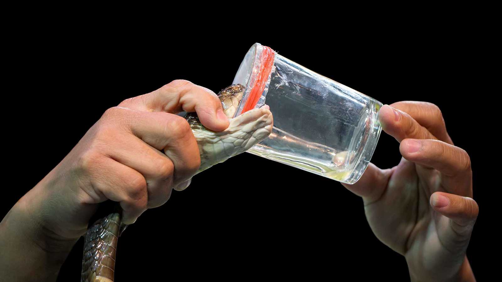 الذكاء الاصطناعي يحوّل سموما قاتلة إلى أمل طبي واعد