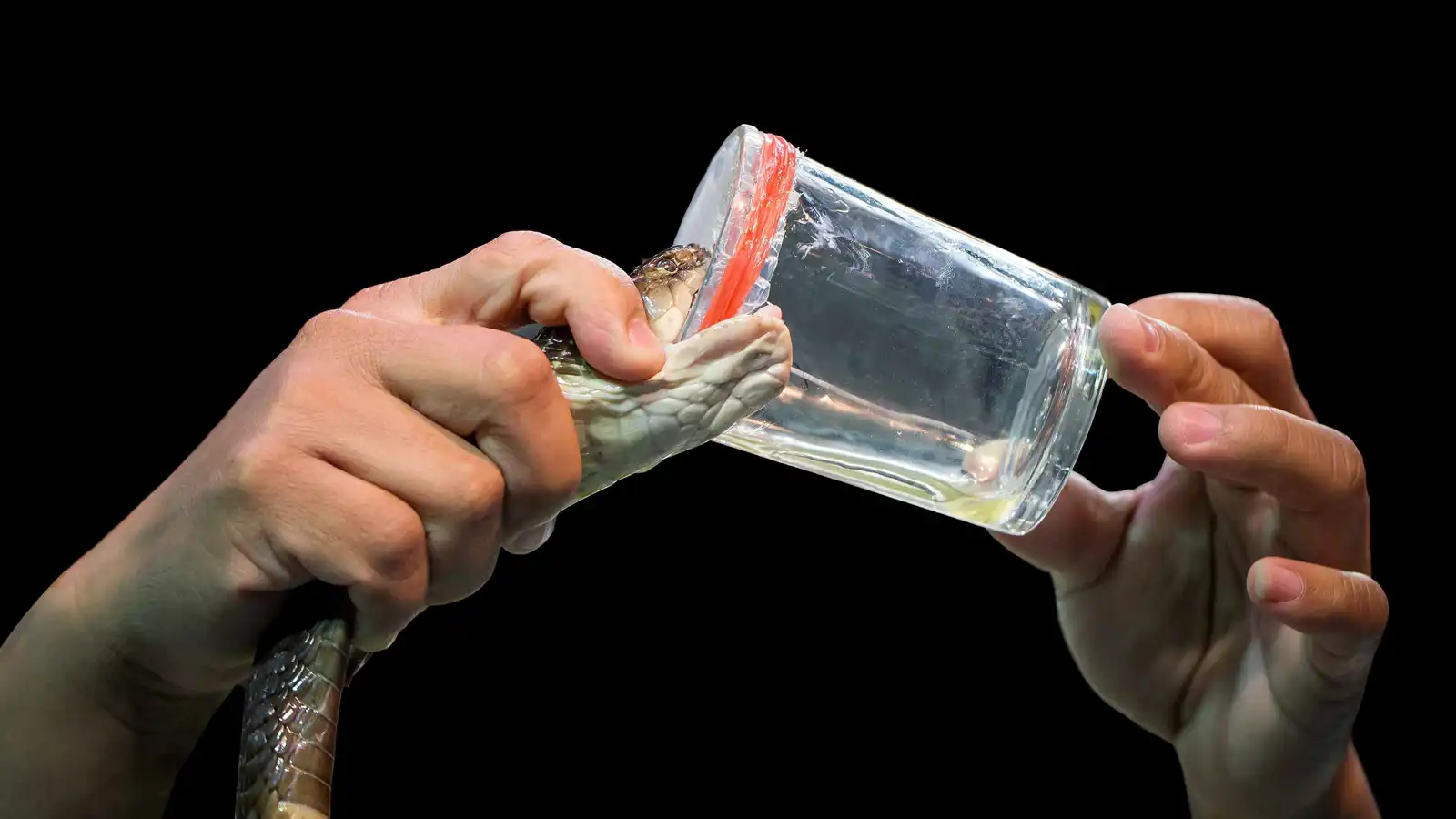 الذكاء الاصطناعي يحوّل سموما قاتلة إلى أمل طبي واعد