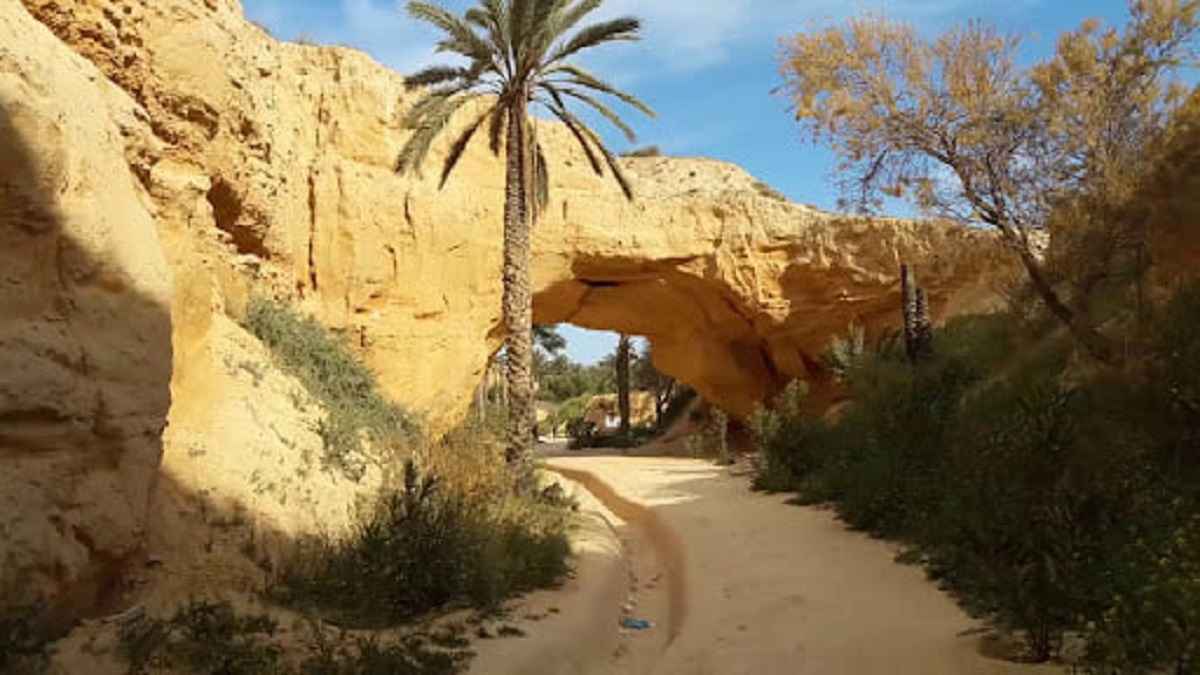 تونس تسعى لإدراج "الحديقة الجيولوجية الظاهر" على قائمة اليونسكو