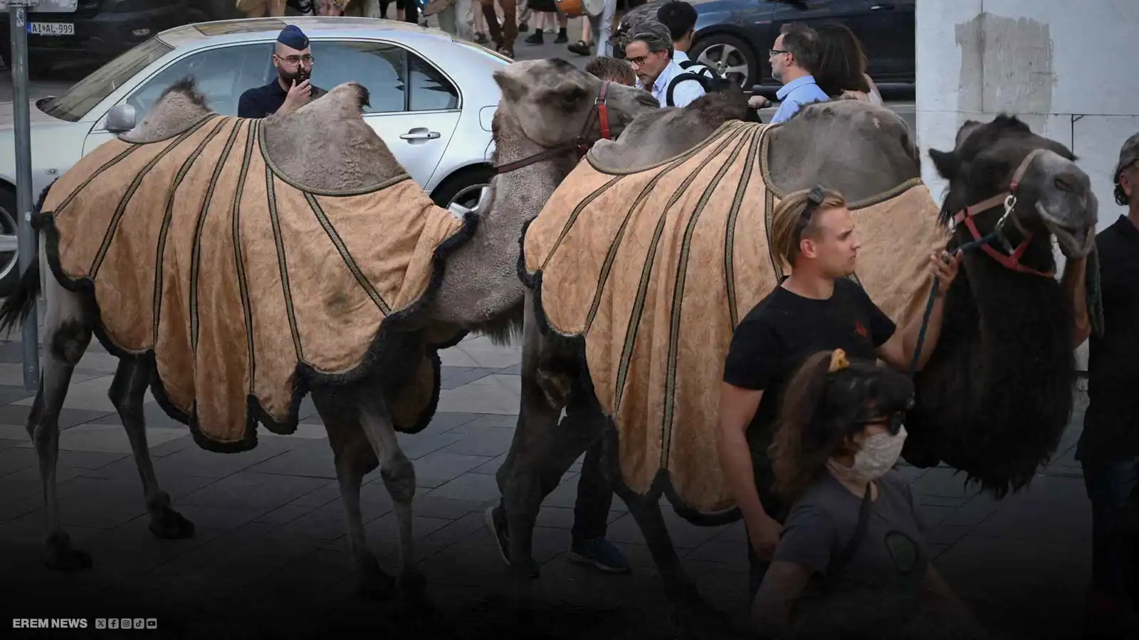 مسيرة الإبل تجتاح بودابست والمزارعون ينتفضون ضد عطش الأرض (فيديو إرم)