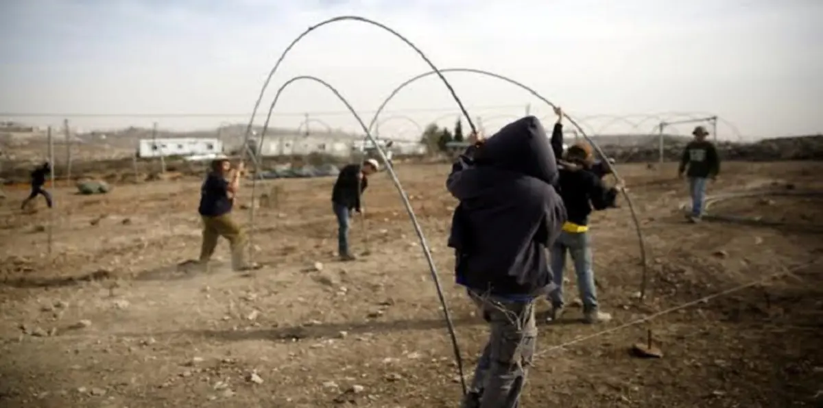 بين التحريض والوعيد.. إسرائيل تستعد لإخلاء "عمونة" والمستوطنون يتصدُّون