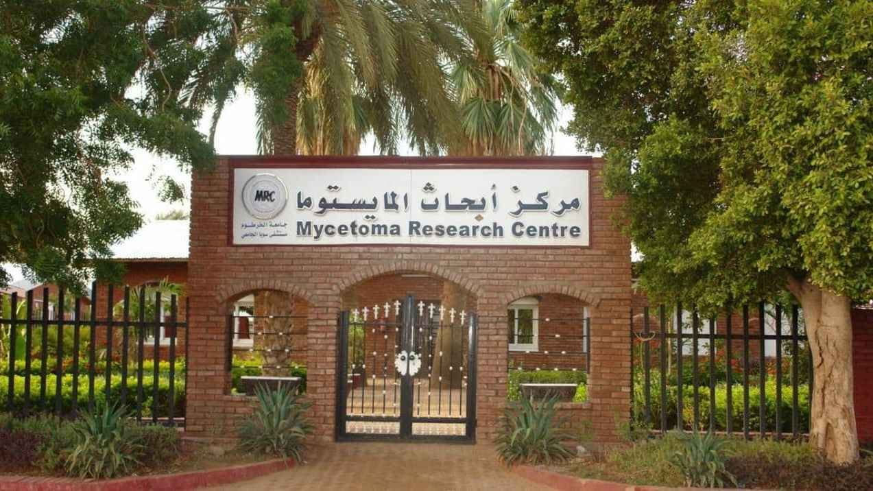 الخرطوم تفقد كنزها العلمي.. تدمير المركز الوحيد لأبحاث المايستوما في العالم