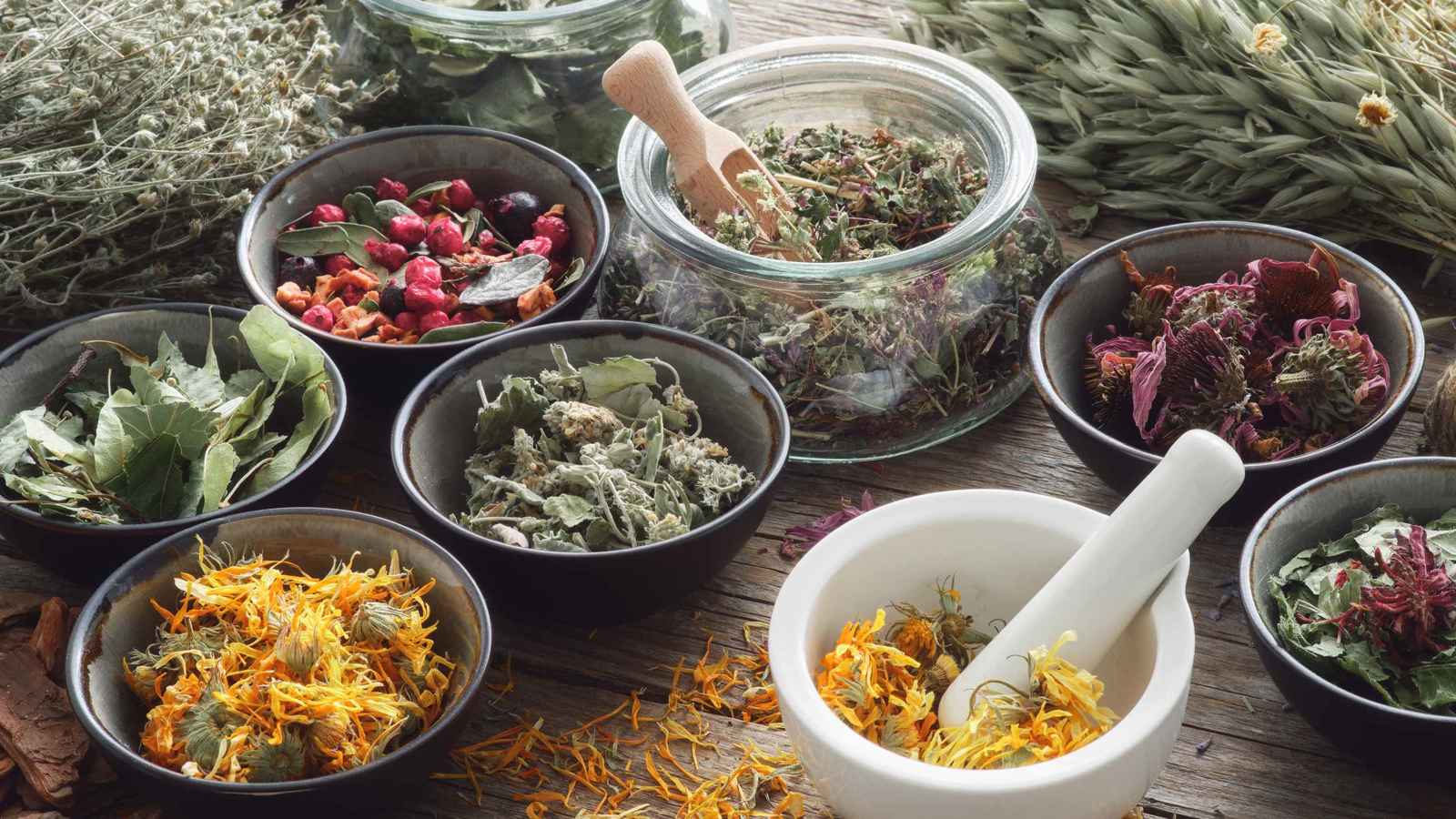 خرافات "تفتك" بالمرضى.. 80% من علاجات السرطان على تيك توك (فيديو)