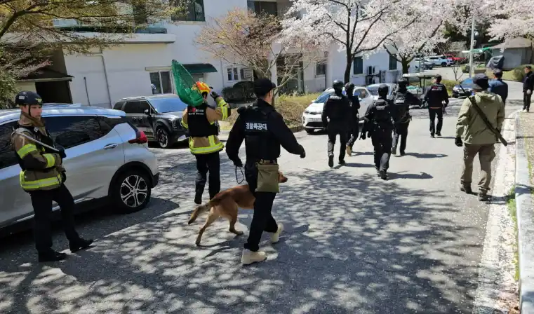 من عمليات التمشيط والبحث عن الذئب