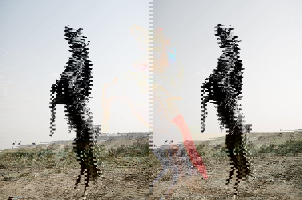 خيول عنترة والزير سالم تفقد بريقها أمام حصان أحمر ذي نسب أمريكي (صور)