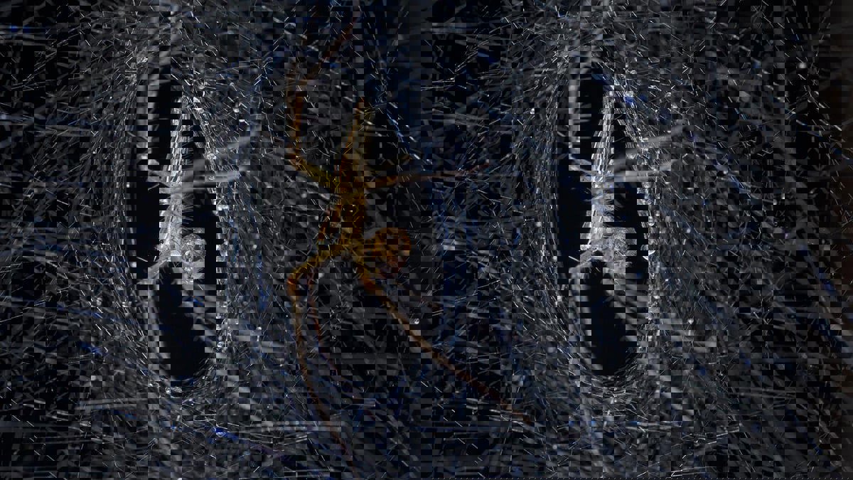 تطوير طريقة مستدامة تتخلص من انبعاثات الكربون في صناعة الملابس