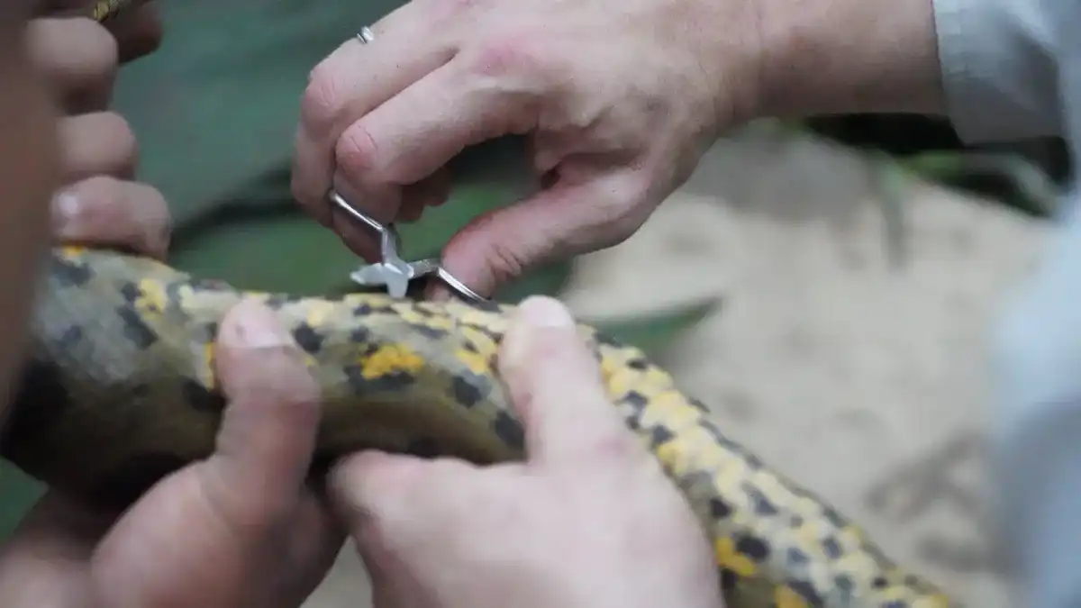 من برنامج From Pole to Pole with Will Smith