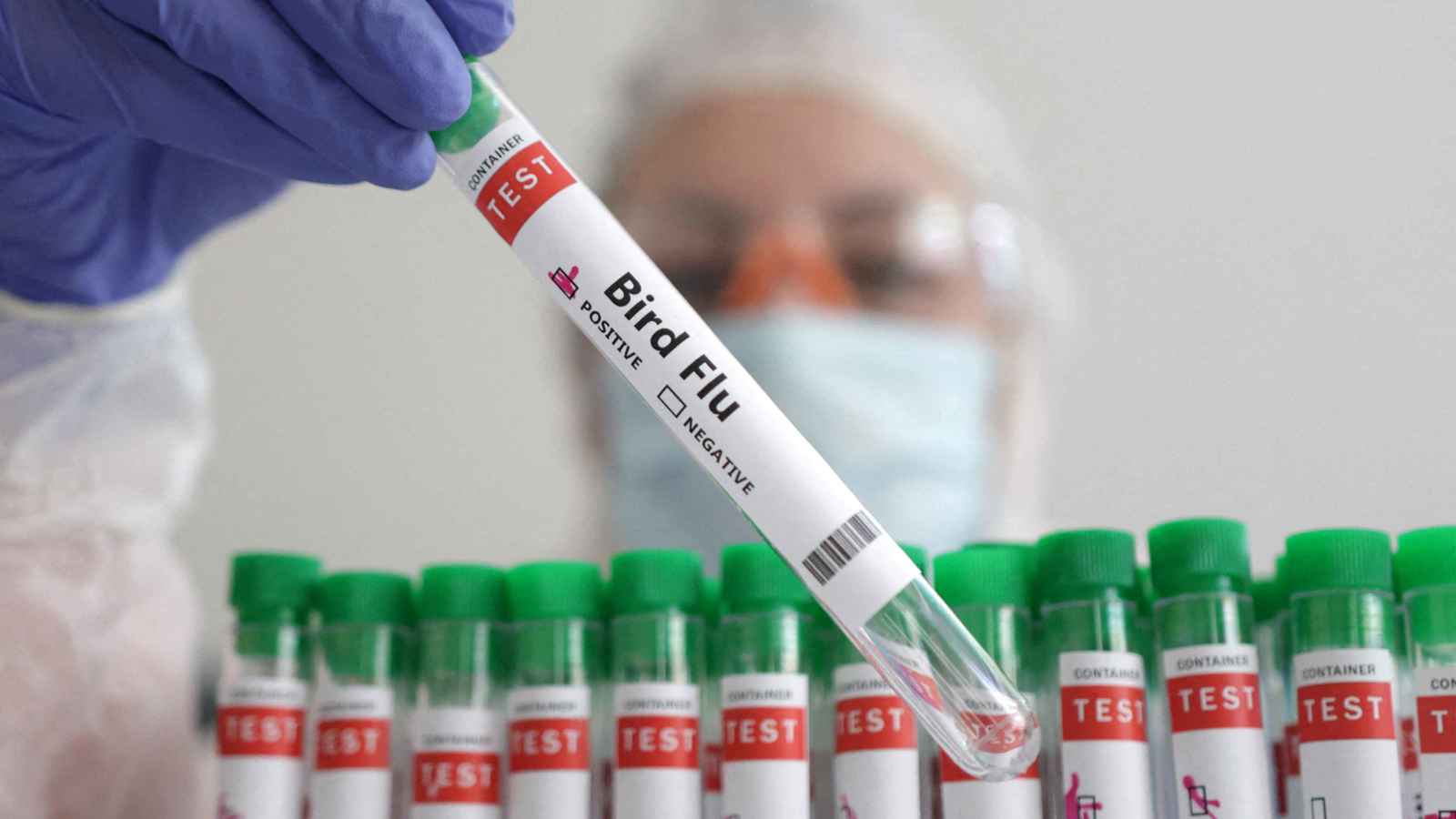 سلالة جديدة من إنفلونزا الطيور تكشف عن طفرة مثيرة للقلق