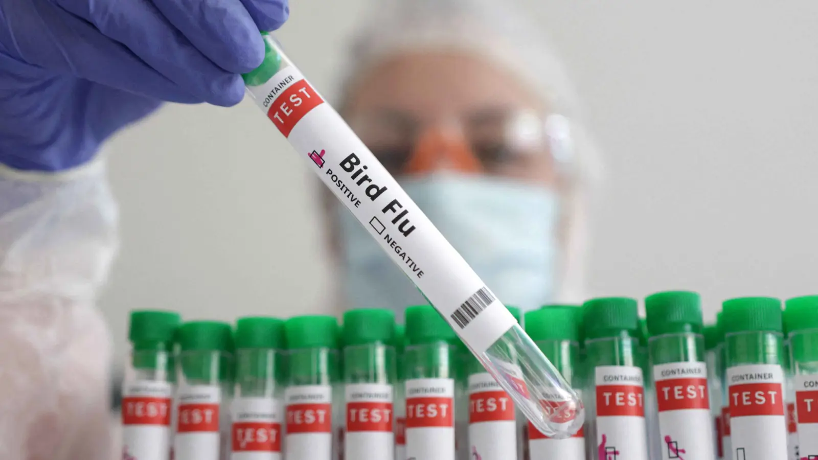 سلالة جديدة من إنفلونزا الطيور تكشف عن طفرة مثيرة للقلق