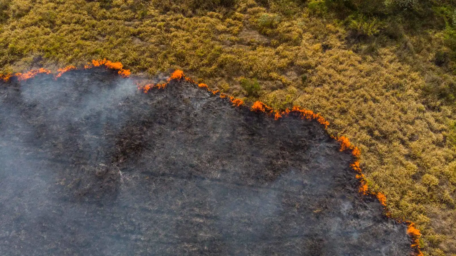 هذه البلدان الأكثر تضرراً من موجات الحر المستقبلية