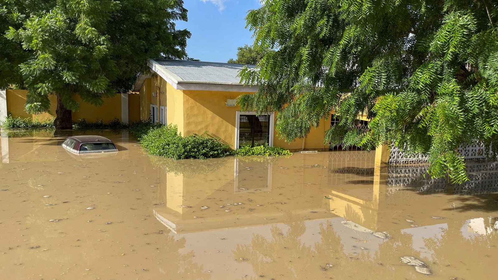 جرفتها الفيضانات.. حيوانات مفترسة "تتجول" في شوارع نيجيريا (صور وفيديو)