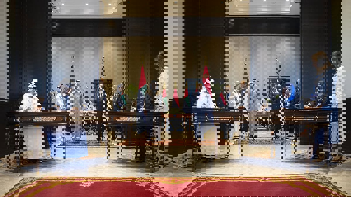 محمد بن زايد يعلن توقيع اتفاقية لإنشاء أحد أكبر مشاريع طاقة الرياح في مصر