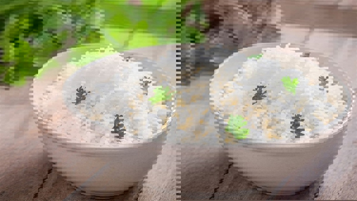 احذر.. تناول الكثير من الأرز يزيد خطر الوفاة بأمراض القلب