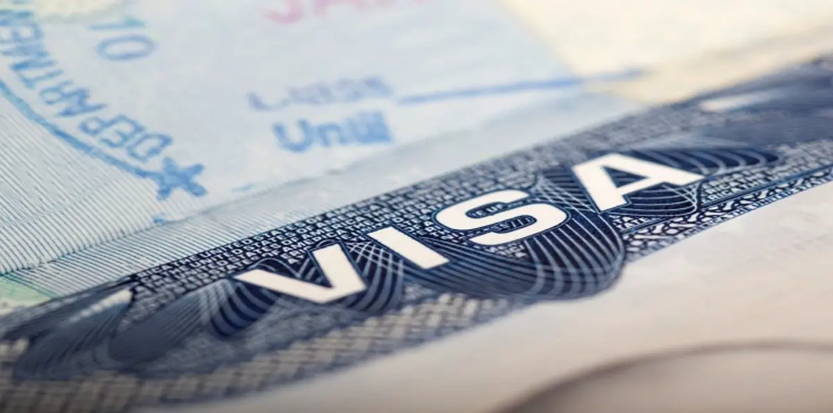 سنغافورة توقف إصدار تأشيرات لمهندسي تكنولوجيا المعلومات الهنود