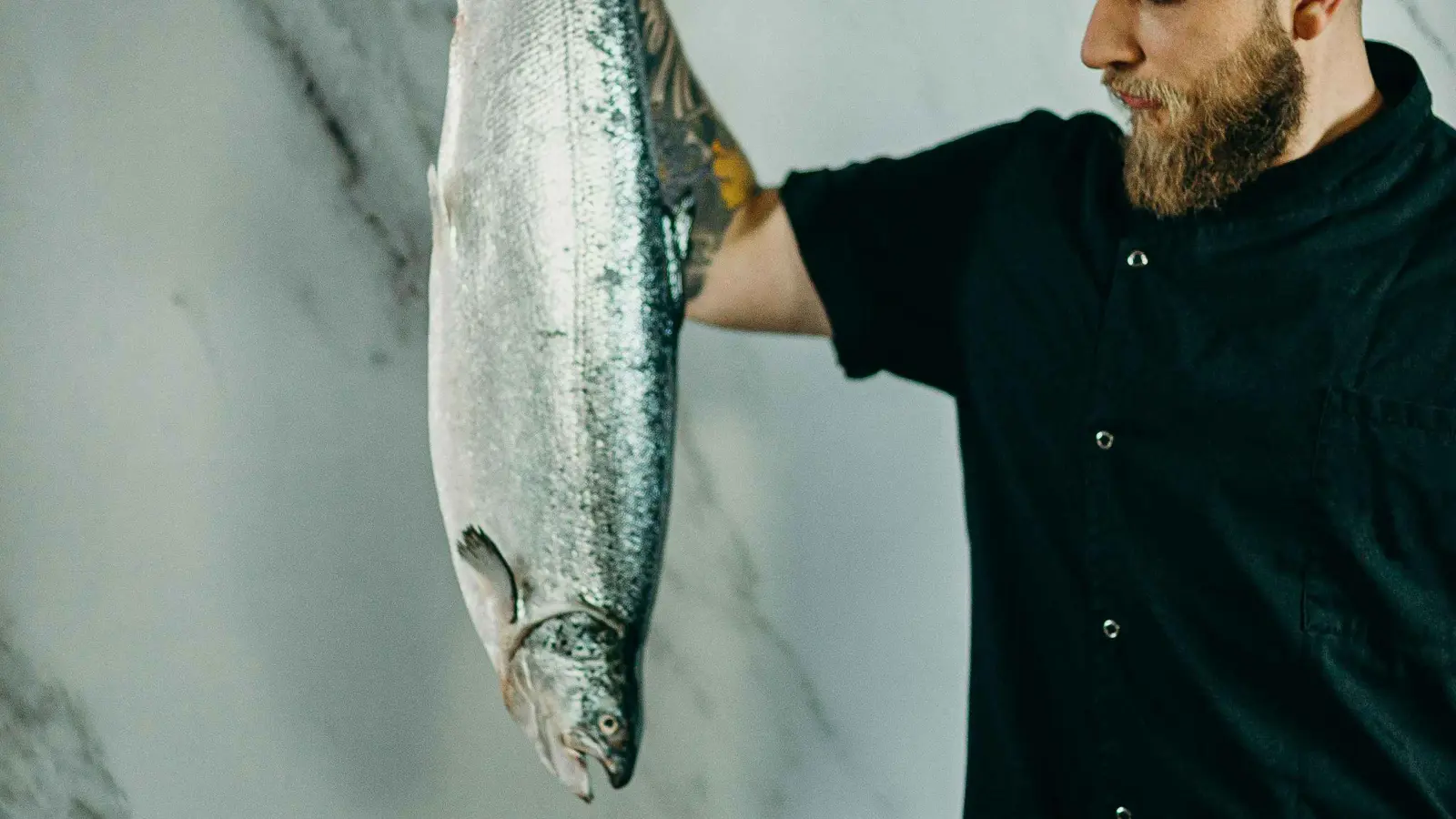 سلمون معلّب منذ السبعينيات يكشف أسراراً عن البيئة البحرية (فيديو)