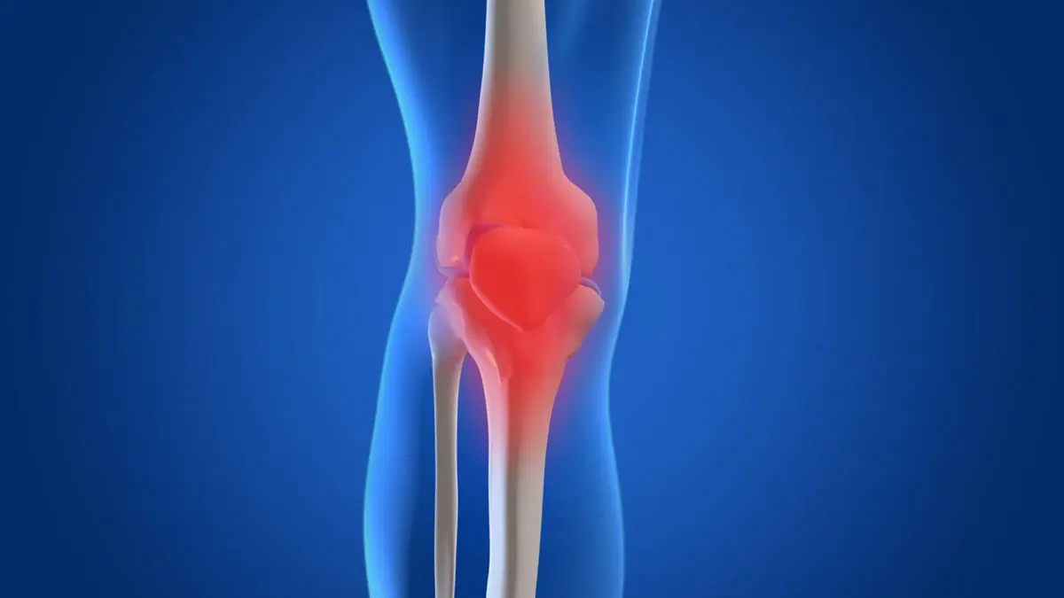 أطعمة تعزز صحة الغضاريف وتسرع عملية تعافيها