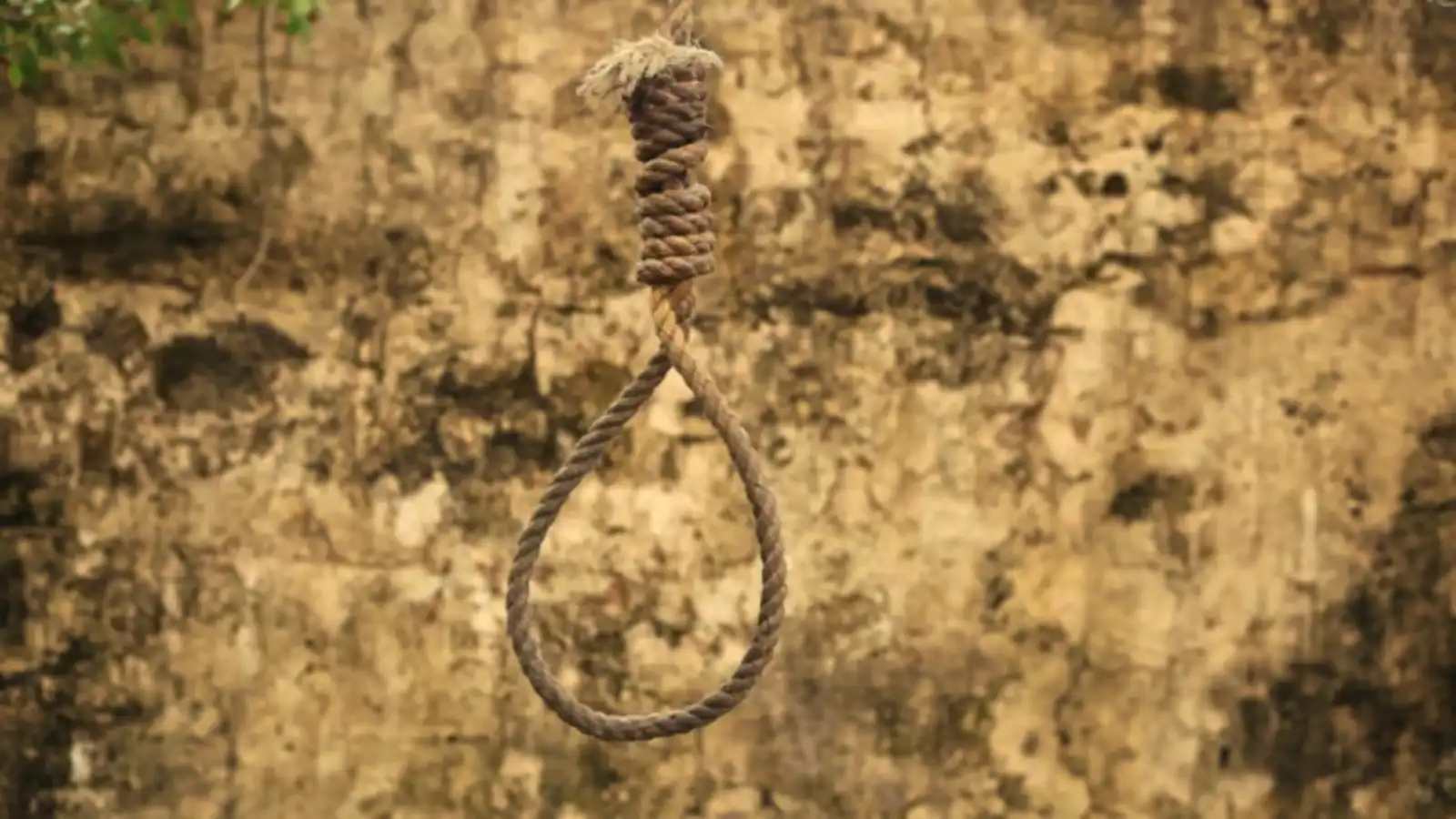 مصر.. الإعدام شنقاً للمتهم بقتل أم وأطفالها بتسميم العصير (صور)