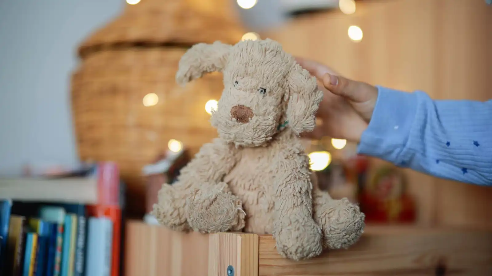 مخاطر صحية خفية في دمى الأطفال المحشوة