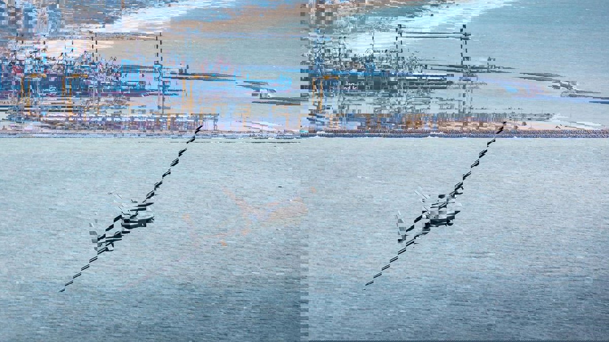 "هيرون 1".. الجيش الإسرائيلي يحقق في أسباب السقوط المتكرر لإحدى أبرز مُسيراته  



