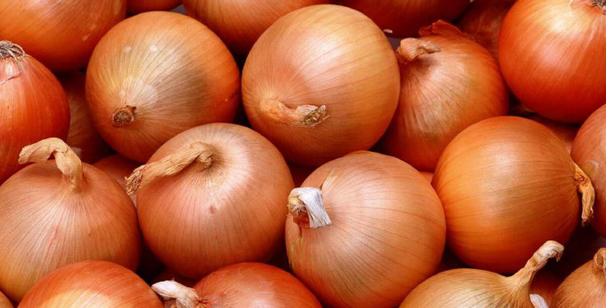 بالفيديو.. "أزمة البصل" بالكويت تشعل شجارًا في سوق الخضار