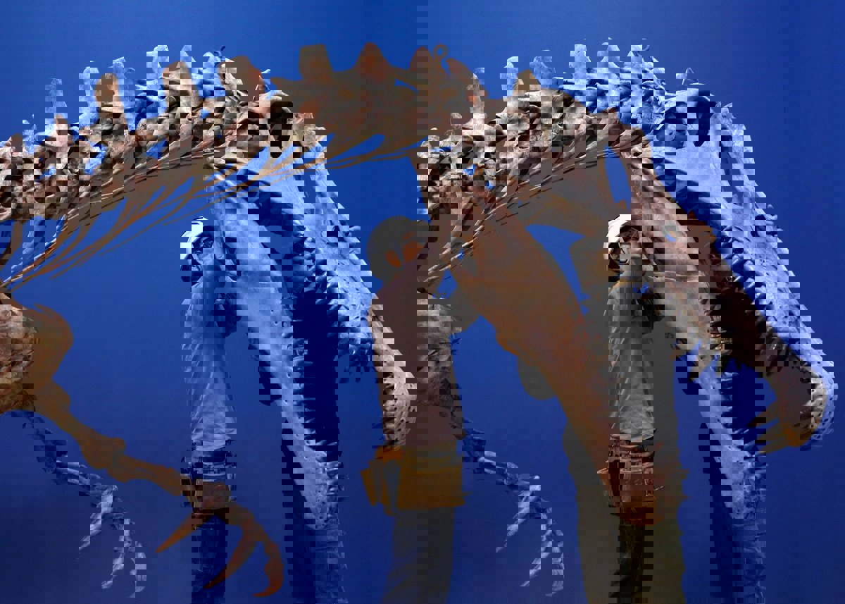 حفريات ديناصورات مكتشفة في المغرب تقدم أدلة جديدة