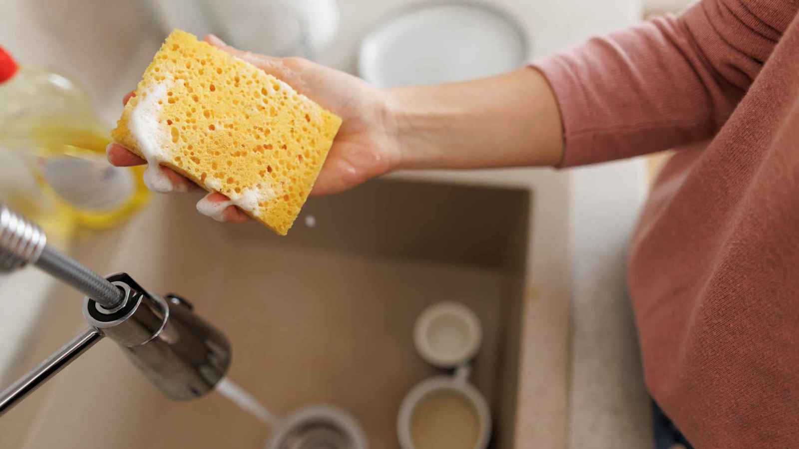 "عشرة أضعاف" سكان العالم.. الإسفنجة المنزلية منجم للبكتيريا