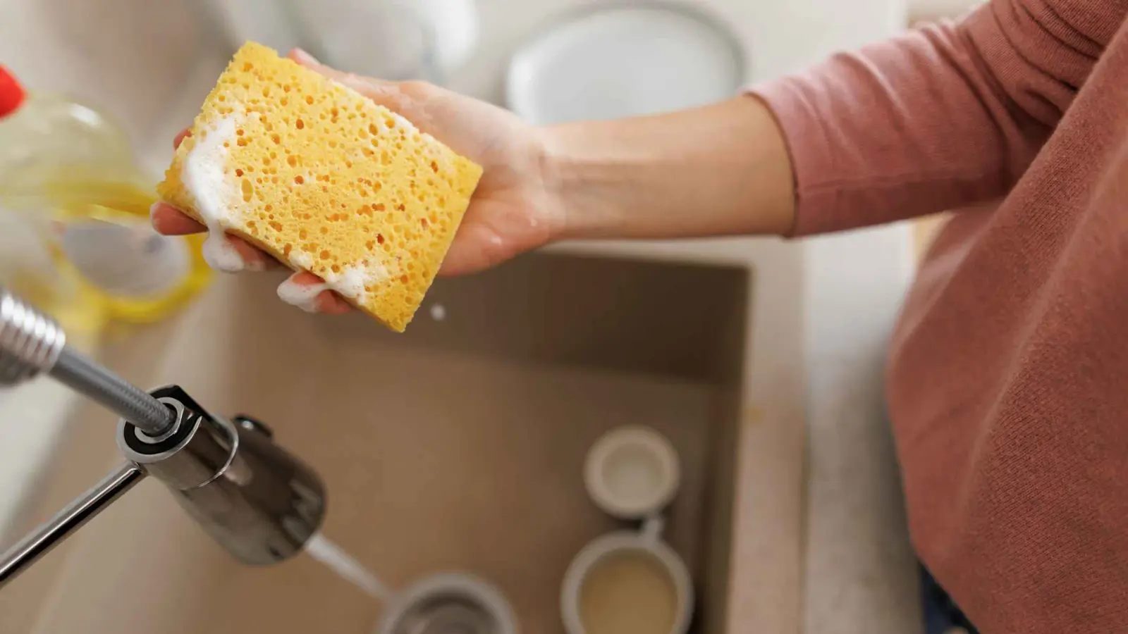 "عشرة أضعاف" سكان العالم.. الإسفنجة المنزلية منجم للبكتيريا