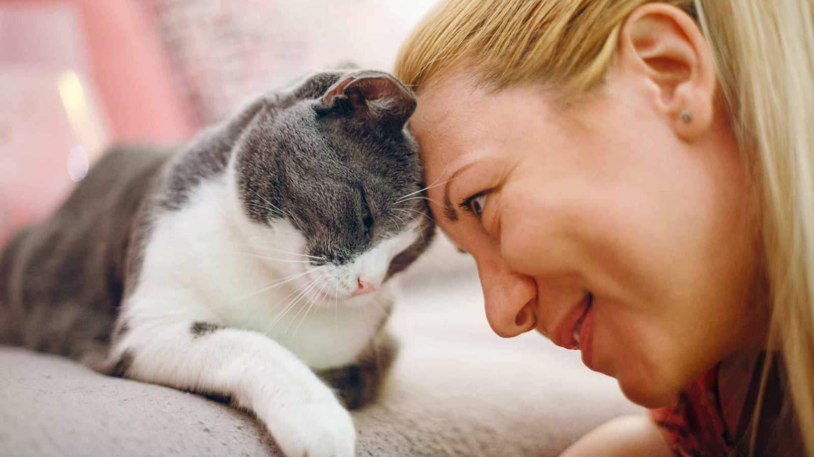 "هرمون الحب" يكشف سر العلاقة العاطفية بين القطط وأصحابها