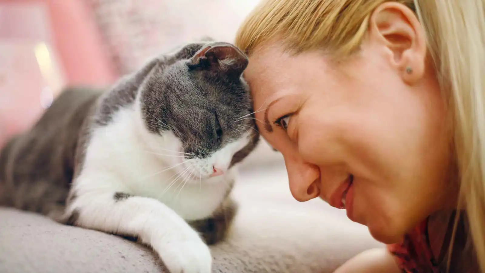 "هرمون الحب" يكشف سر العلاقة العاطفية بين القطط وأصحابها